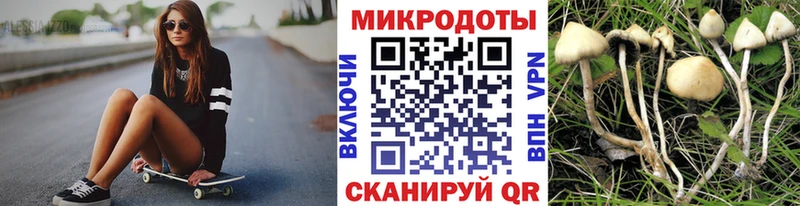 Псилоцибиновые грибы Cubensis  Купить где  Апшеронск 